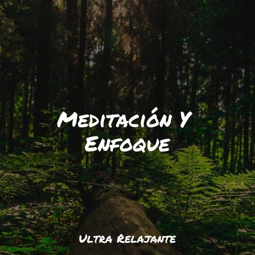 Meditación Y Enfoque