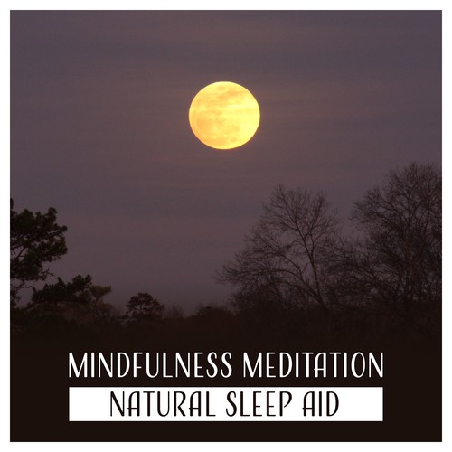 Sleep Harmony cover art