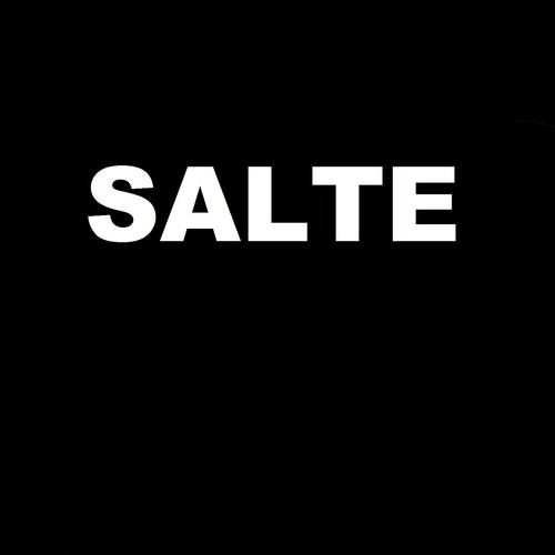 Salte cover art