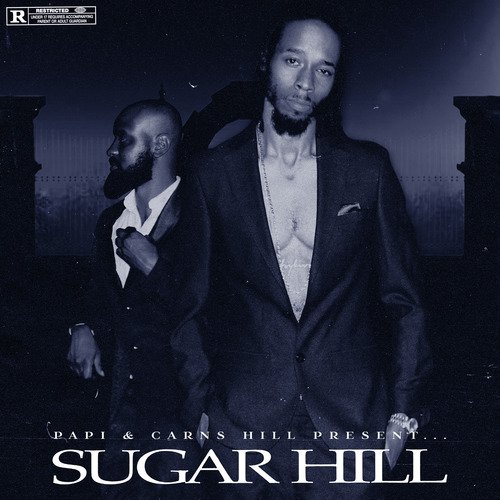 Sugar Hill_poster_image