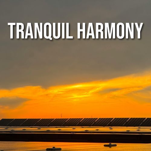 Euphonic Tranquility cover art