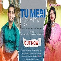 Tu Meri Zindegi (Hindi)-NAMOB01aUAo