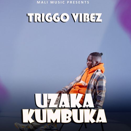 Uzaka kumbuka cover art