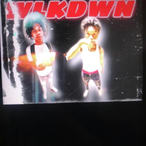 WLKDWN cover art