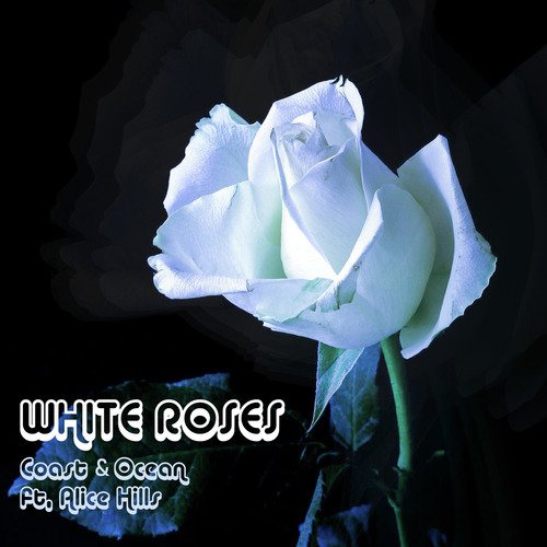 White Roses_poster_image