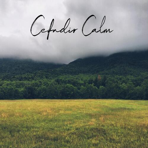 Hoffi Coffi cover art