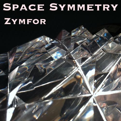 Space Symmetry