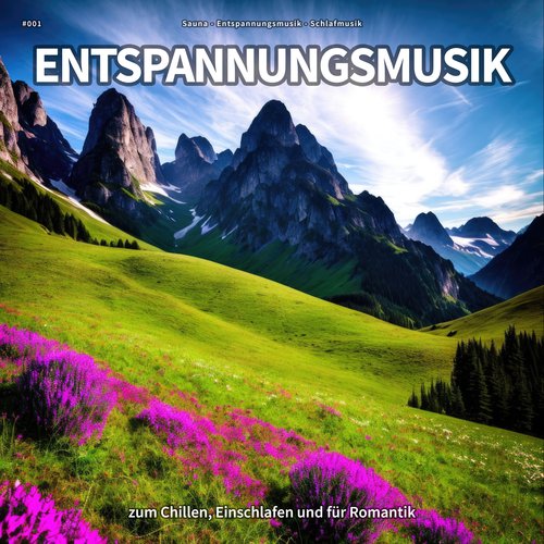 Meditationsmusik cover art