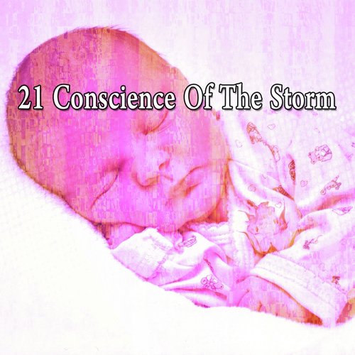 21 Conscience of the Storm_poster_image