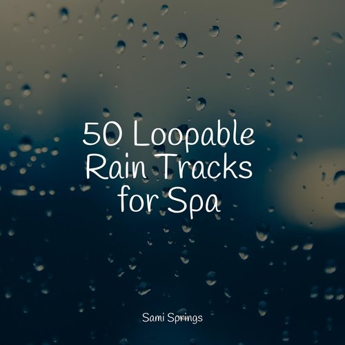Rain, Storm and Thunder cover art
