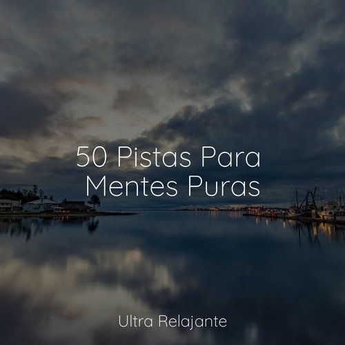 50 Pistas Para Mentes Puras