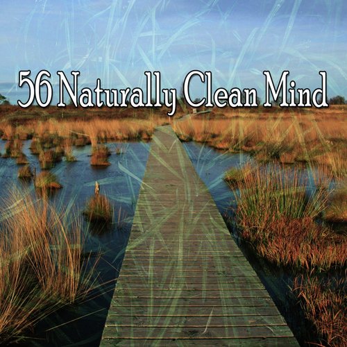 56 Naturally Clean Mind