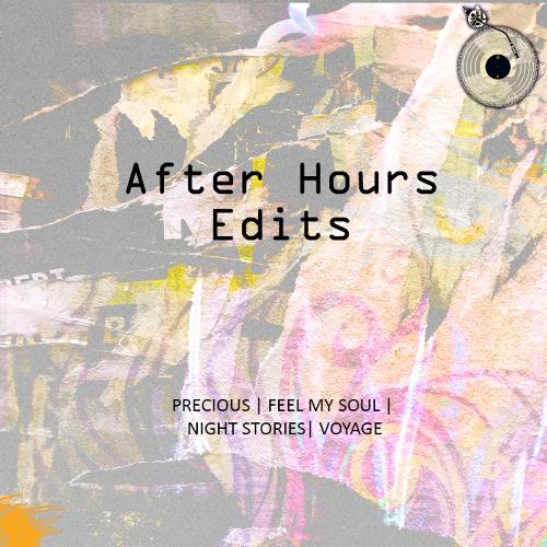 Night Stories (Chillout Version) cover art