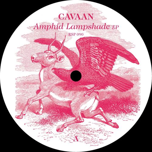 Amphid Lampshade