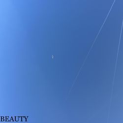 Beauty
