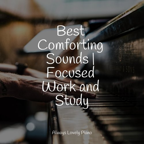 Best Comforting Sounds | Focused Work and Study_poster_image