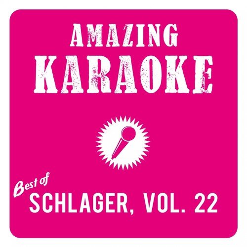 Boogie Woogie und Beethoven (Karaoke Version)