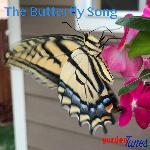 Buttterfly Song
