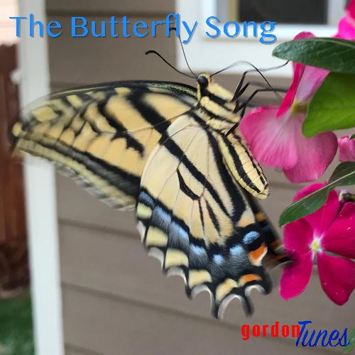 Buttterfly Song_poster_image