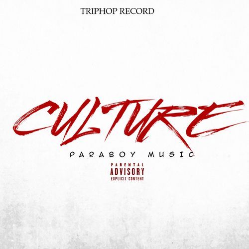 CULTURE cover art