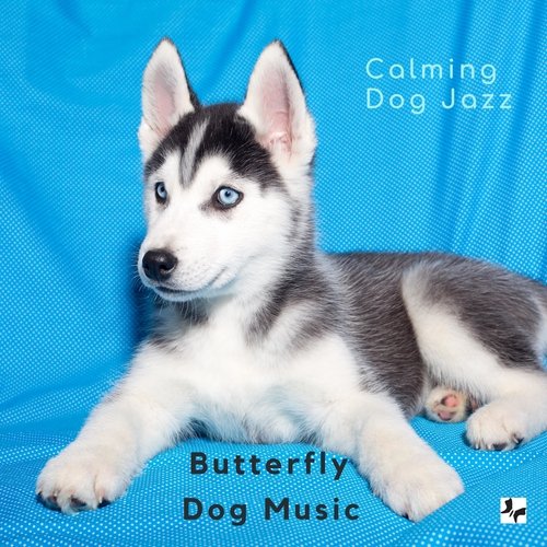 Calming Dog Jazz