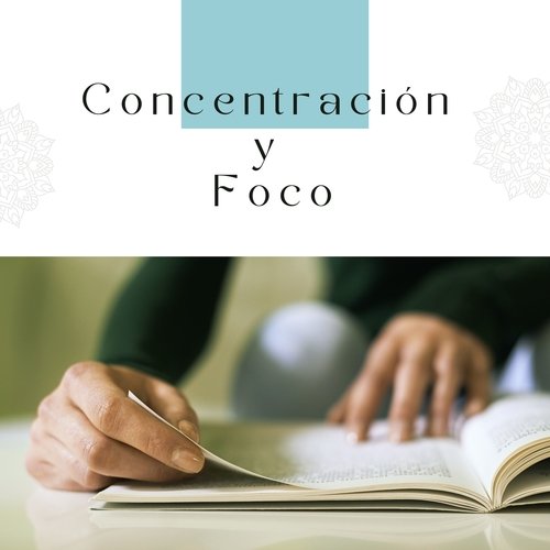 Concentración y Foco: Música Relajante para Estudiar y Trabajar_poster_image