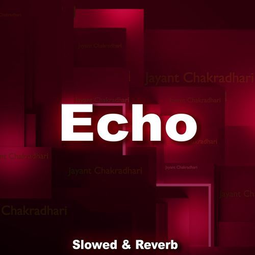 Echo