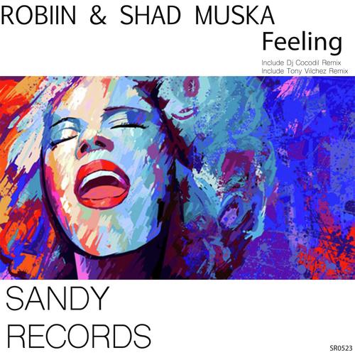 Feeling (Dj Cocodil Remix) cover art