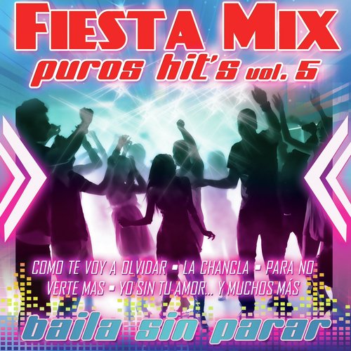 Fiesta Mix Vol. 5