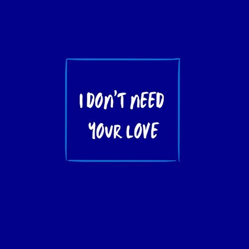 I Don't Need Your Love