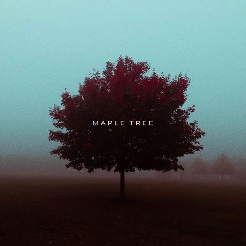 Maple Tree cover art