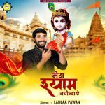 Mera Shyam Nachonda E