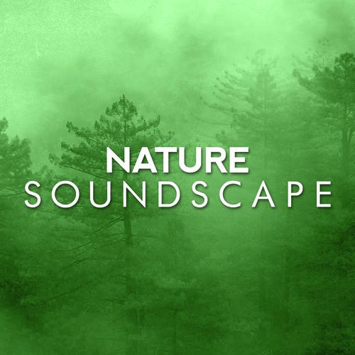 Nature Soundscape