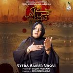 Noha Shehzada Ali Akbar