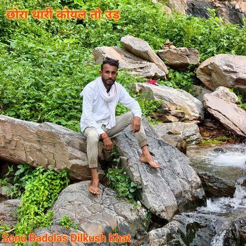 छोरा थारी कोयल तो उड़