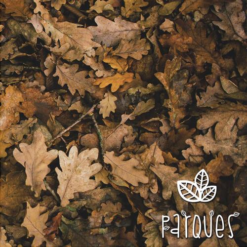 Dormir cover art
