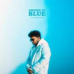Shown In Blue
