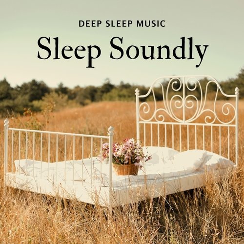 Sleep Soundly - Deep Sleep Music CD_poster_image