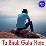 Tu Bhuli Galu Mote