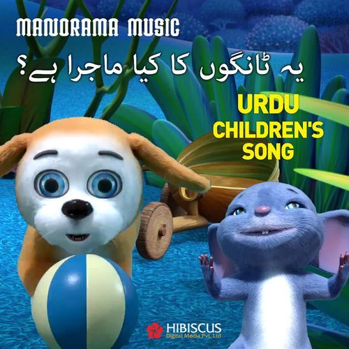 Yeh Taangon Ka Kya Maajra Hai