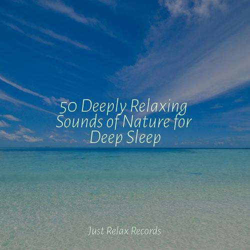 50 Deeply Relaxing Sounds of Nature for Deep Sleep_poster_image