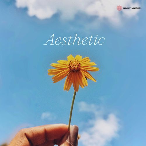 Aesthetic-okv tunes