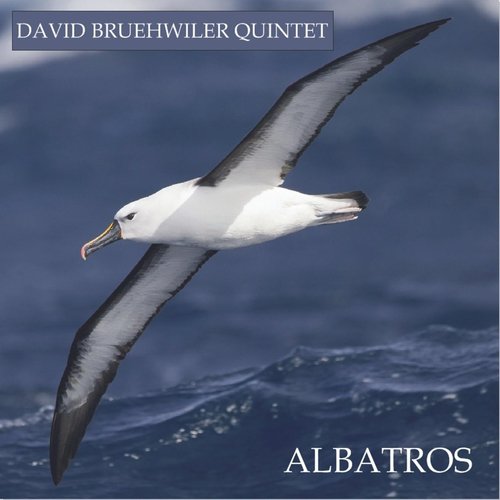 David Bruehwiler Quintet