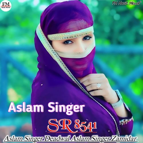Aslam Singer SR 8541
