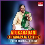 Atukaradani (Thyagaraja Krithis)