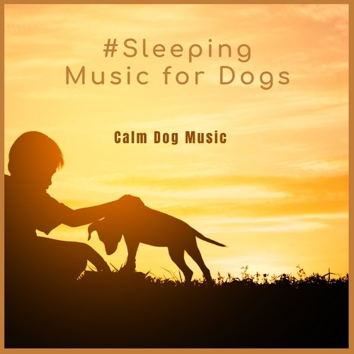 Calm Dog Music