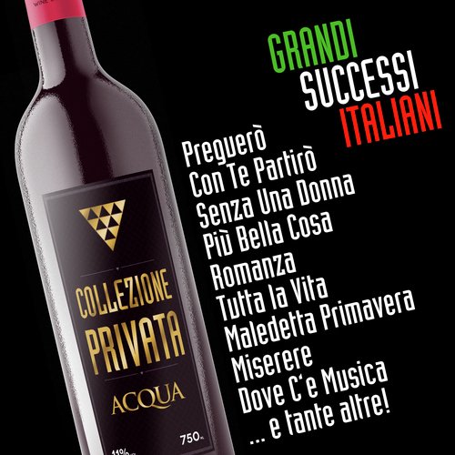 Piccola e fragile cover art
