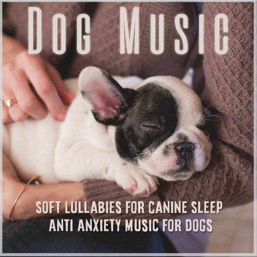 The Ultimate Music for Dogs