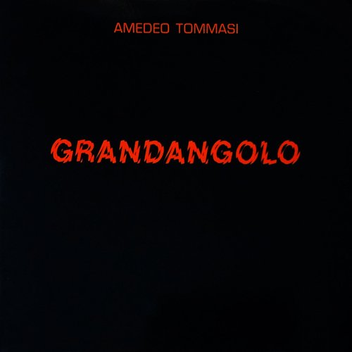 Grandangolo_poster_image