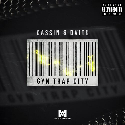 Gyn Trap City_poster_image